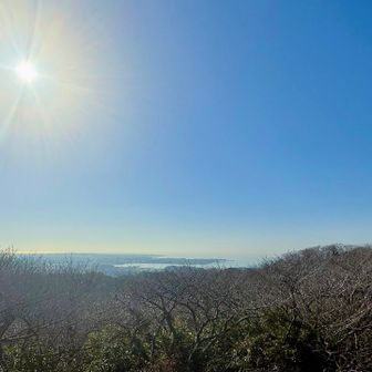 展望台からの景色⛵️