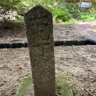 確認できた丁石は九丁目のコレだけでした