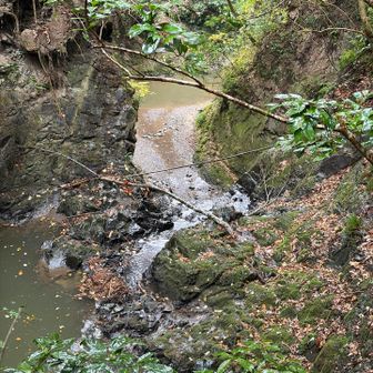 しかし上から黒滝の上部っぽいのが見えます（違ってたらすみません）
