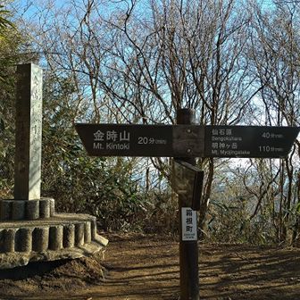 金時山登山口からのルートとの合流地点。