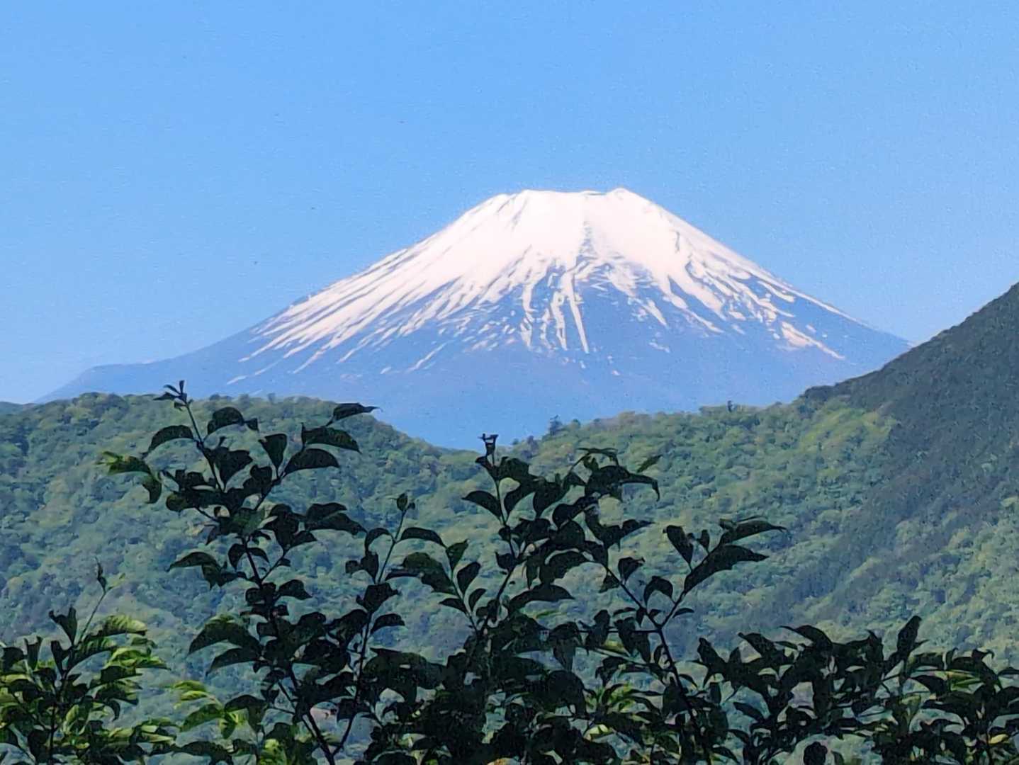 加入道山-大室山 往復コースの写真