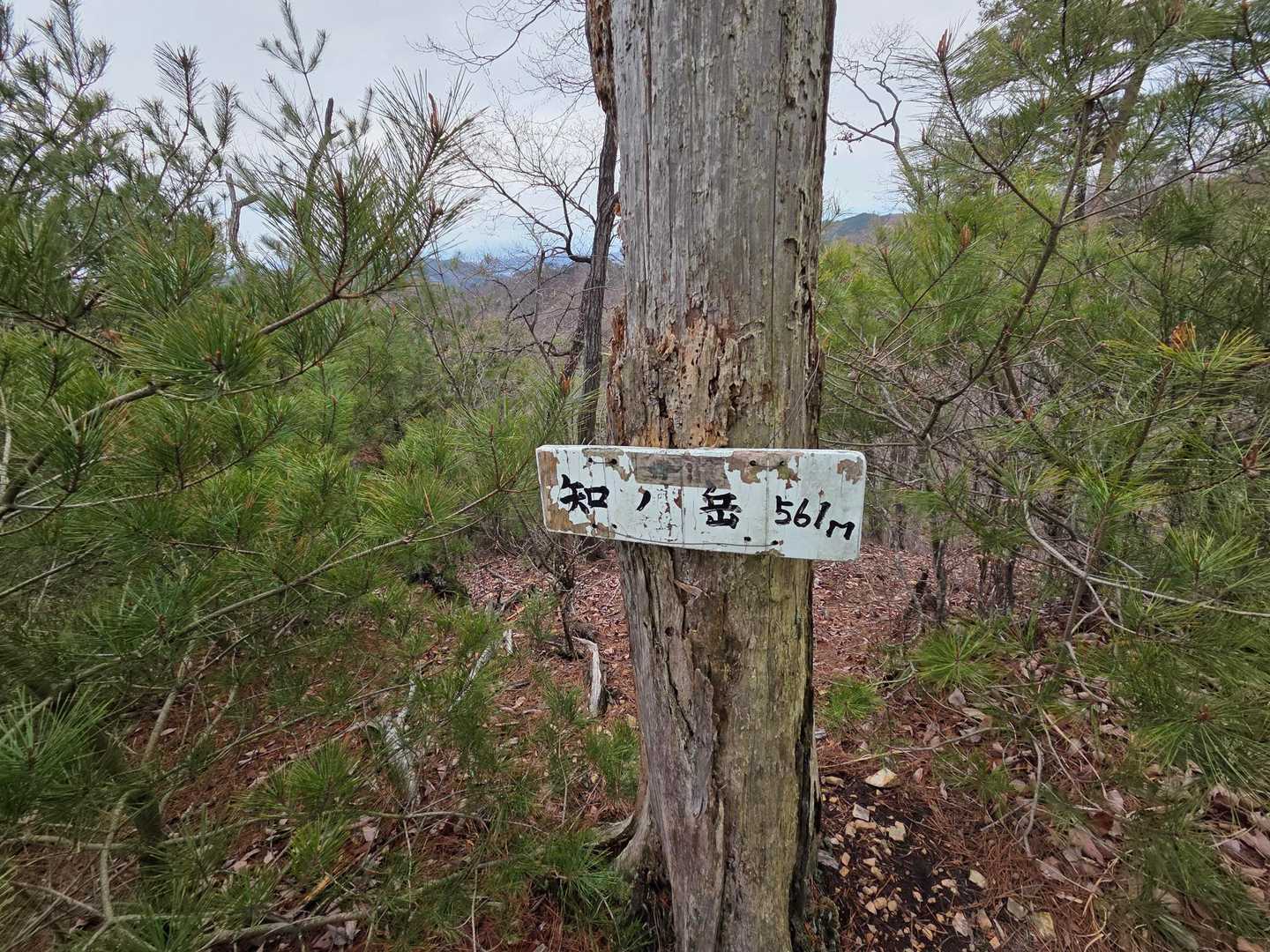 知ノ岳。とうちゃーく👏。