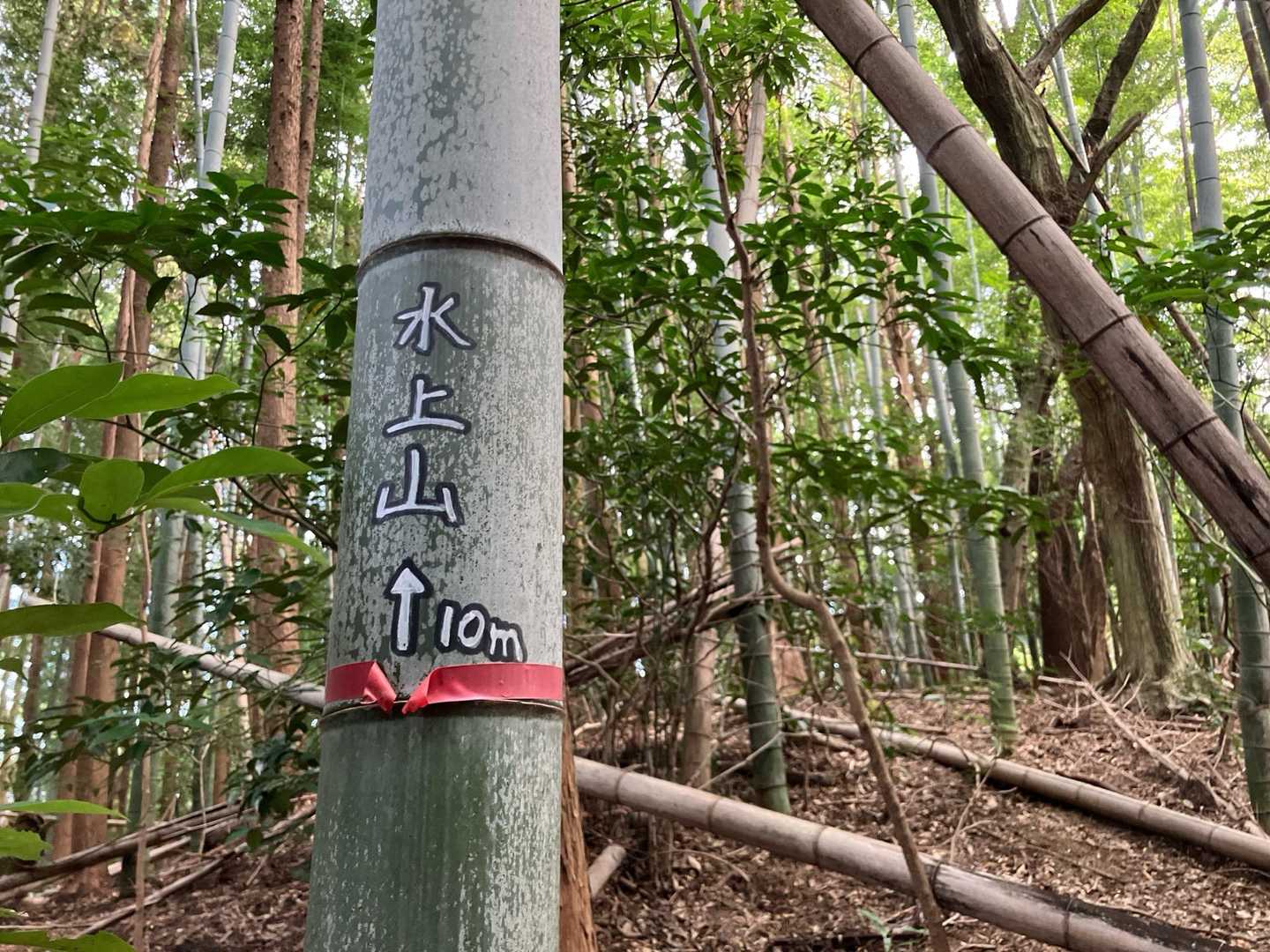 これがなかったらわからなかった