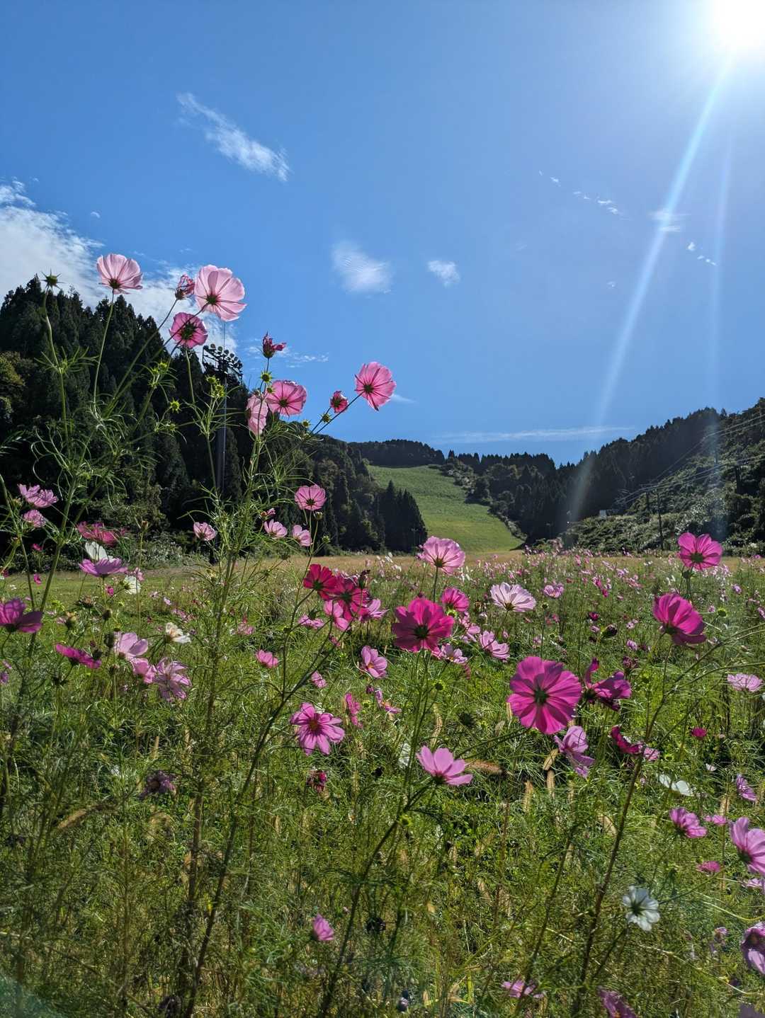 大倉岳登山口-ほとけ峠-大倉岳 縦走コースの写真