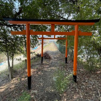 一つ目のピーク高岡山回収⛰️星のブランコ周辺は人やハイカー多いですが他の山はほとんど誰にも会いません💦