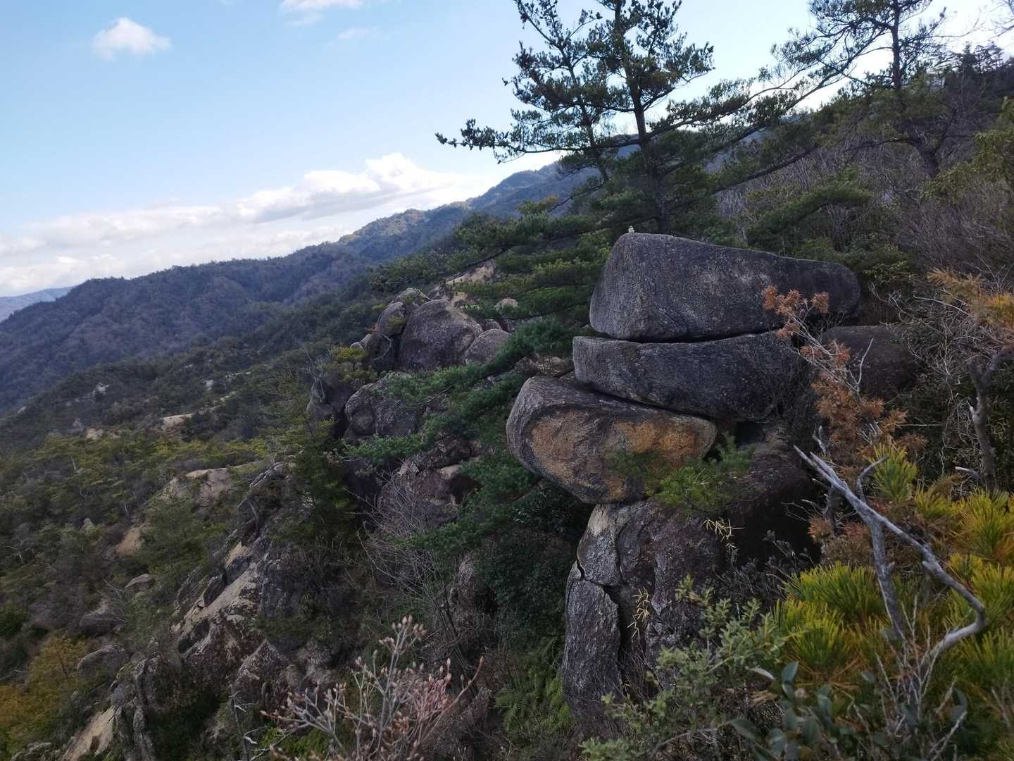 堂山 往復コースの写真