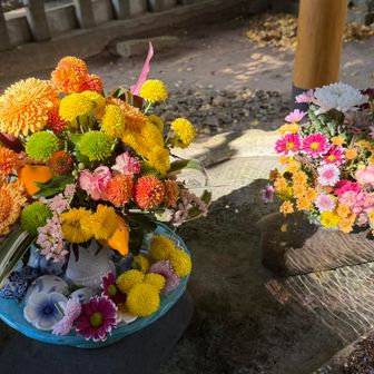 季節によって変わる手水舎🌸