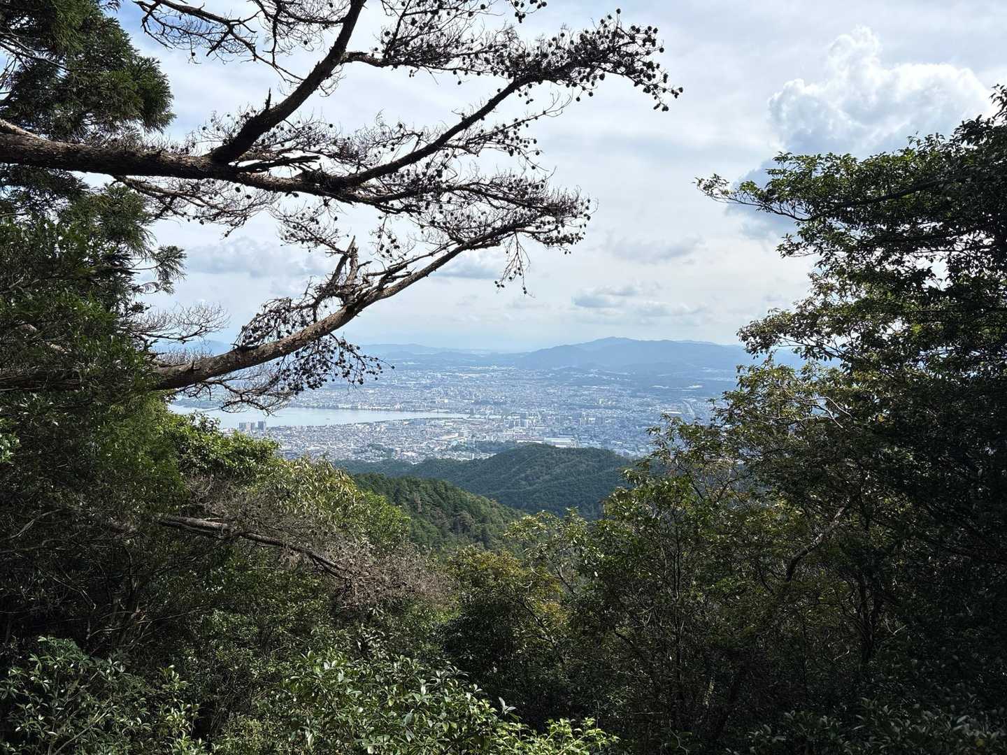 音羽山 往復コースの写真