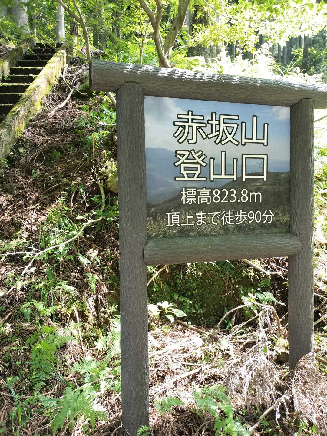 登山口へと無事に帰還した👌