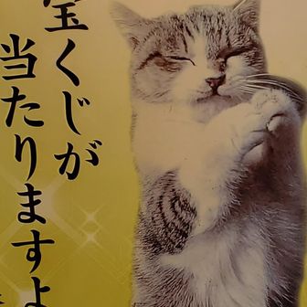 ユーザーまきさん