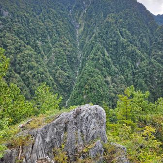 あの岩が山頂かな
奥は百貫山か