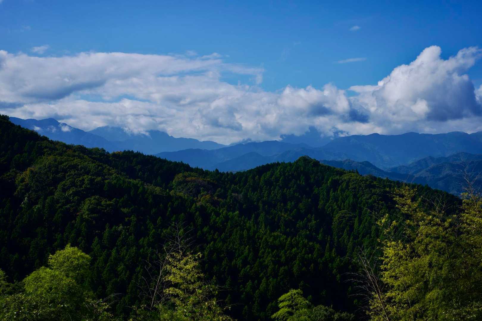 陣馬登山口バス停発着｜陣馬山周回コースの写真