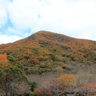 山全体が紅葉