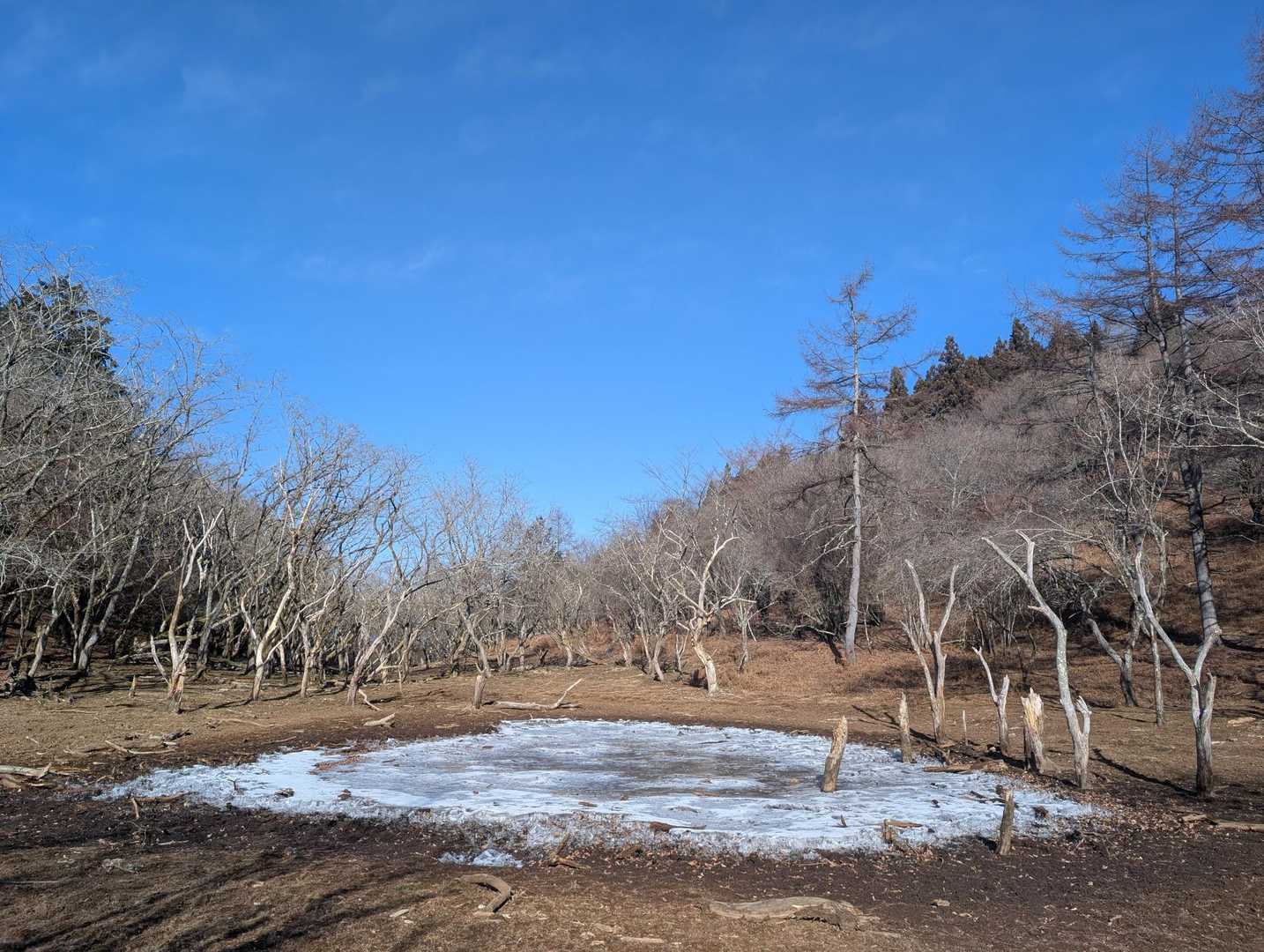 真富士山-第二真富士山 往復コースの写真
