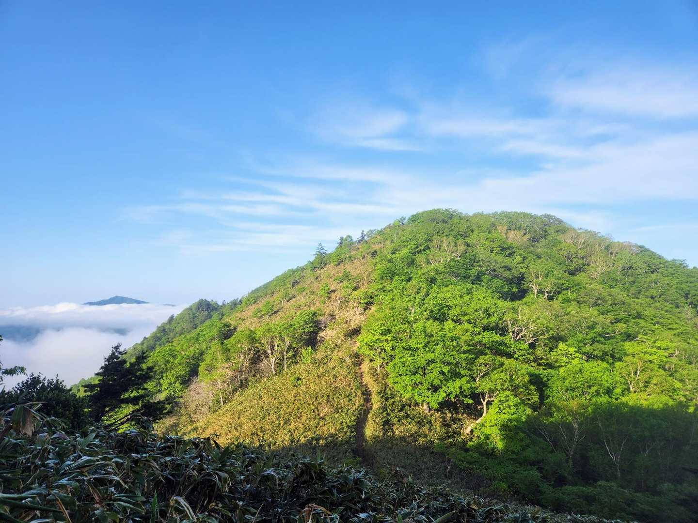 川上岳までは､３つの山を越えました⛰️