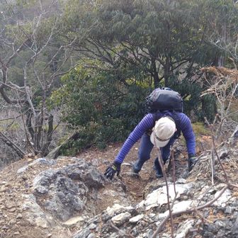 けっこうな壁を登りました