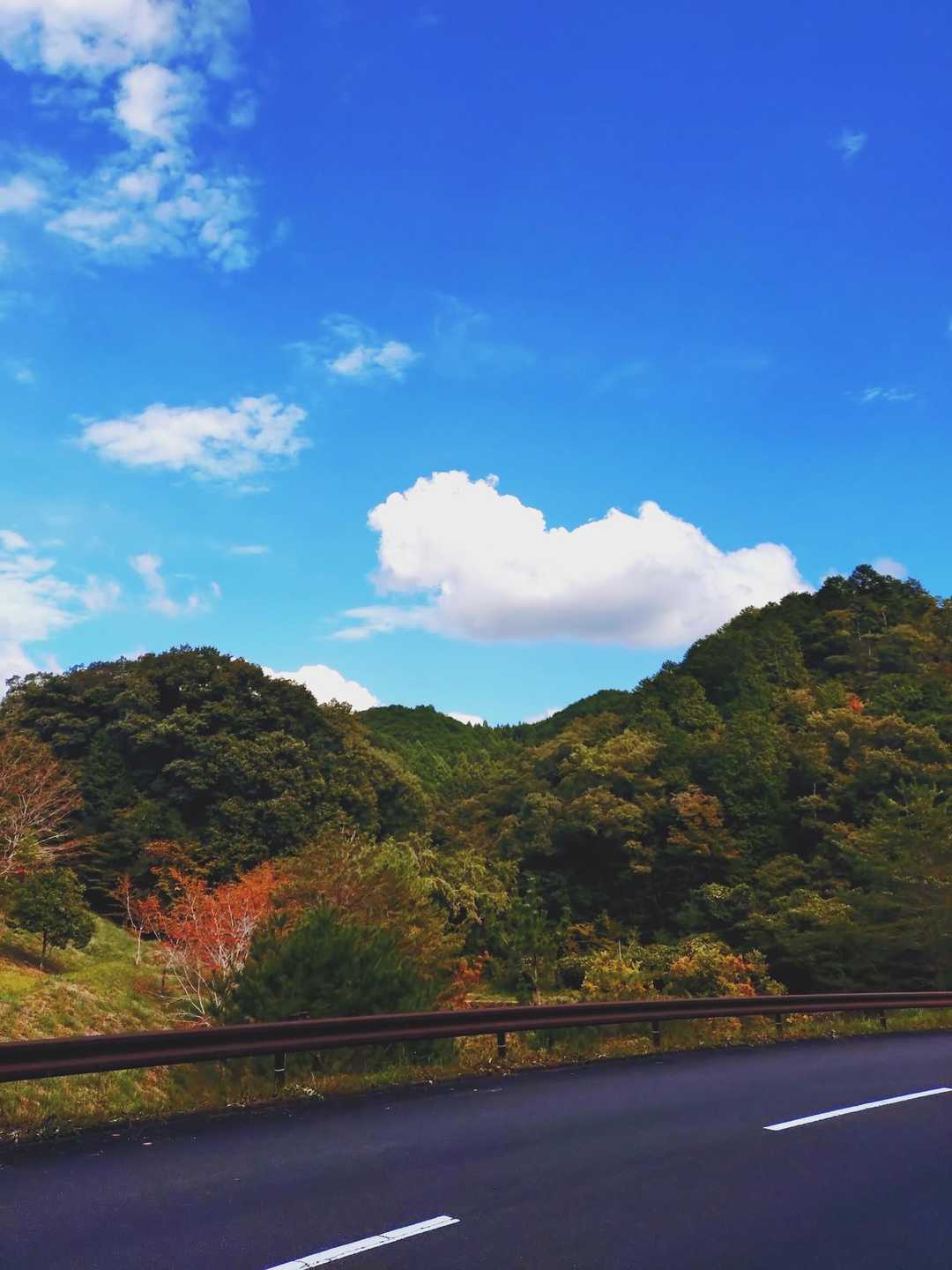 無加工なのによく撮れた📸