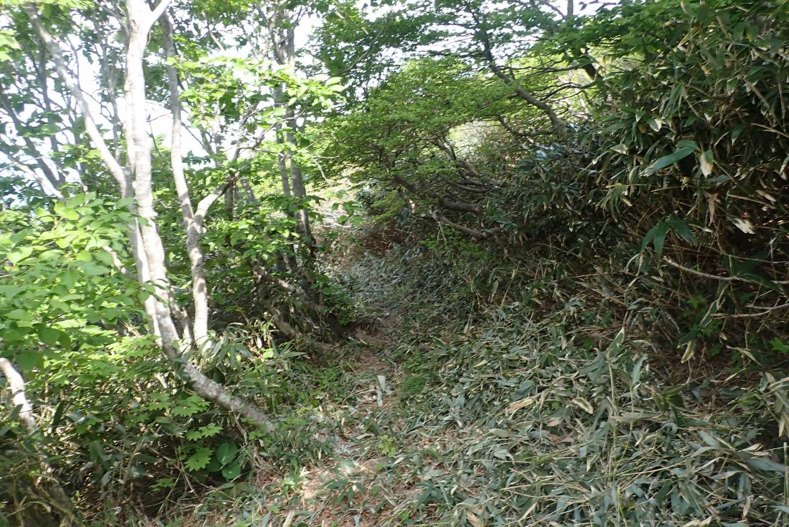 刈り払い箇所②