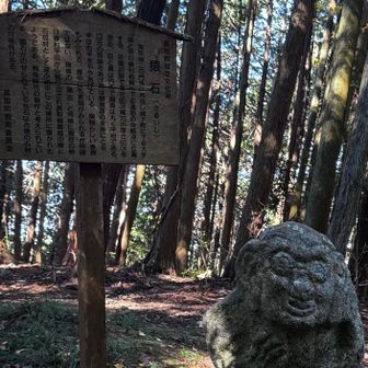 「猿石」まで来ました！
ここから先、城内に入ります。

このお猿さん（人かも？）飛鳥時代に作られたそう。高取城は明日香の古墳から石を運んだそうで、この石もその一つ。

明日香には、これに似た石像がたくさんあります。

「石垣の材料に使うのもなんだかなーw」で門の外に置かれて今に至るとか、お城の結界石にしたとか、謎多い石像です。