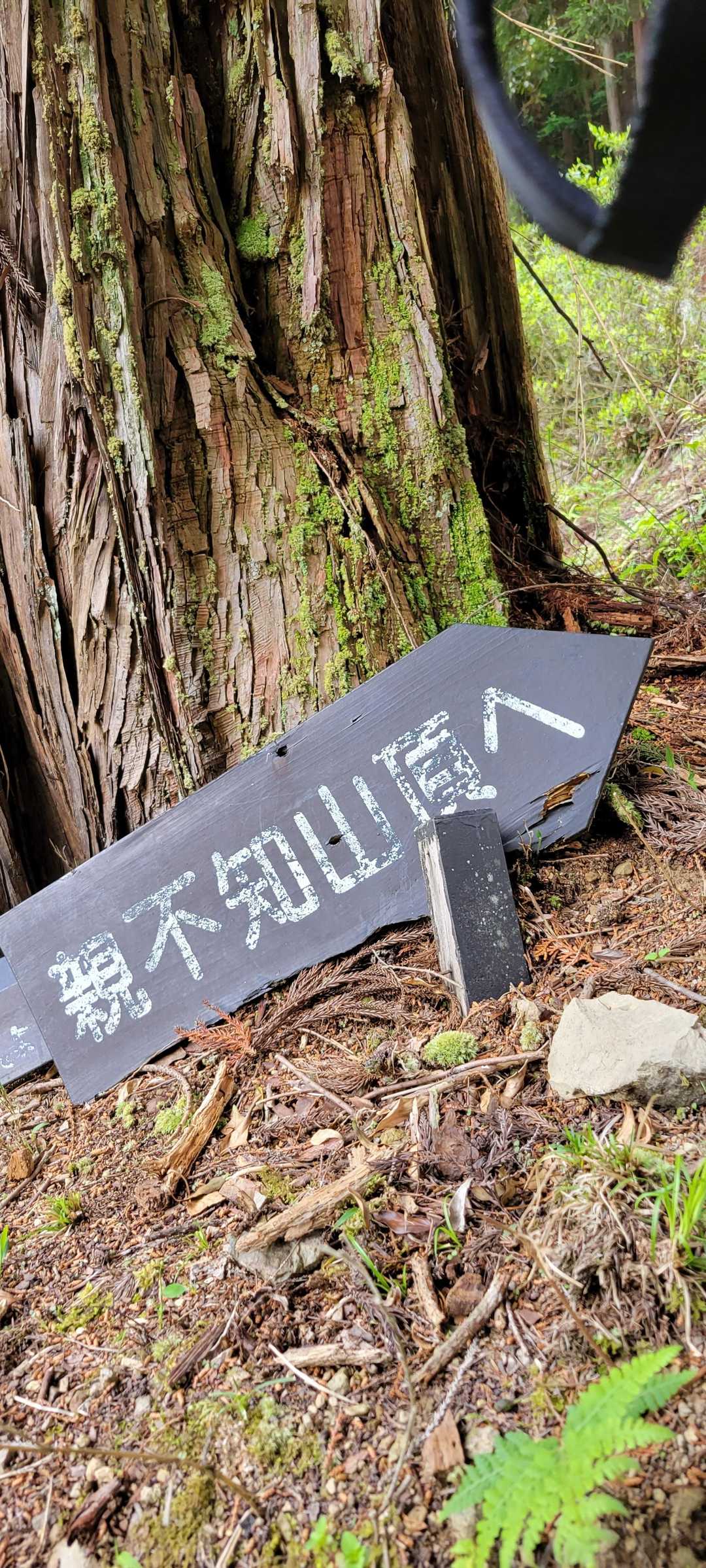 親不知 周回コースの写真