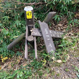 道標がぐちゃぐちゃだけど、何となく合ってるかも？