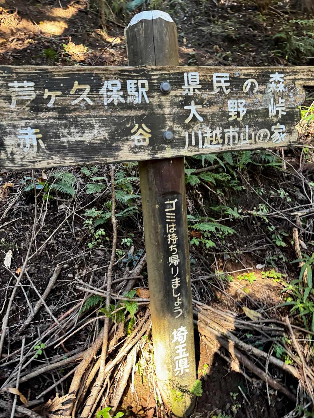 芦ヶ久保駅-登山道入口-丸山-大野峠 縦走コースの写真