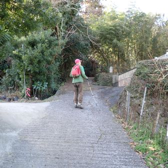 こーちゃんを誘って出かけた。
夷道園地区からT4コースに入る。

手前で丁度出かけるところだったIさんに出会って聞いて見たら水路があることは知っていた。
