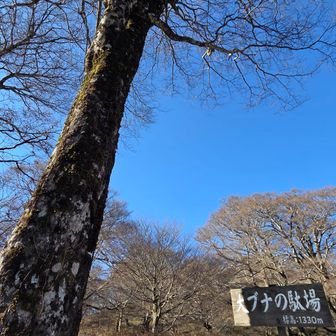 着いた！
今日の最終地点