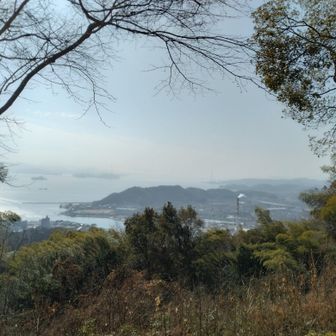 ここでモグモグタイム。