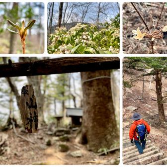 ⛩️山神さまを経由して
(帰りは尾根コース😗)