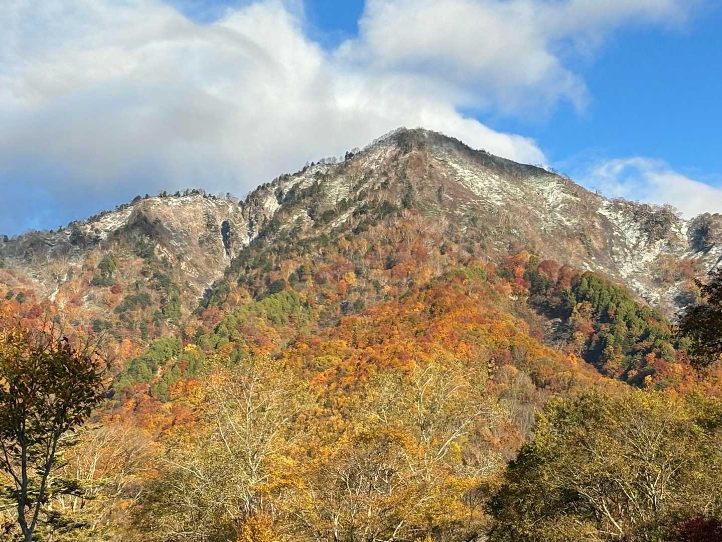 高妻山アップ。昨日降雪があったようですがどんなもんかな？