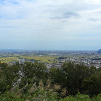 吾妻山から。三浦半島から江ノ島、高麗山少し霞んでますが綺麗に見えました。