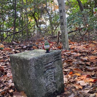 通り過ぎてしまいそうな三角点⭐︎