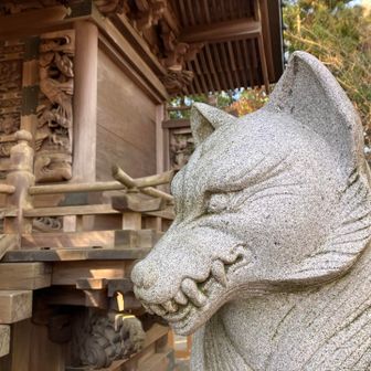 やたらワンちゃん連れの方が沢山いると思った
らそういうことなんですね。勇ましい