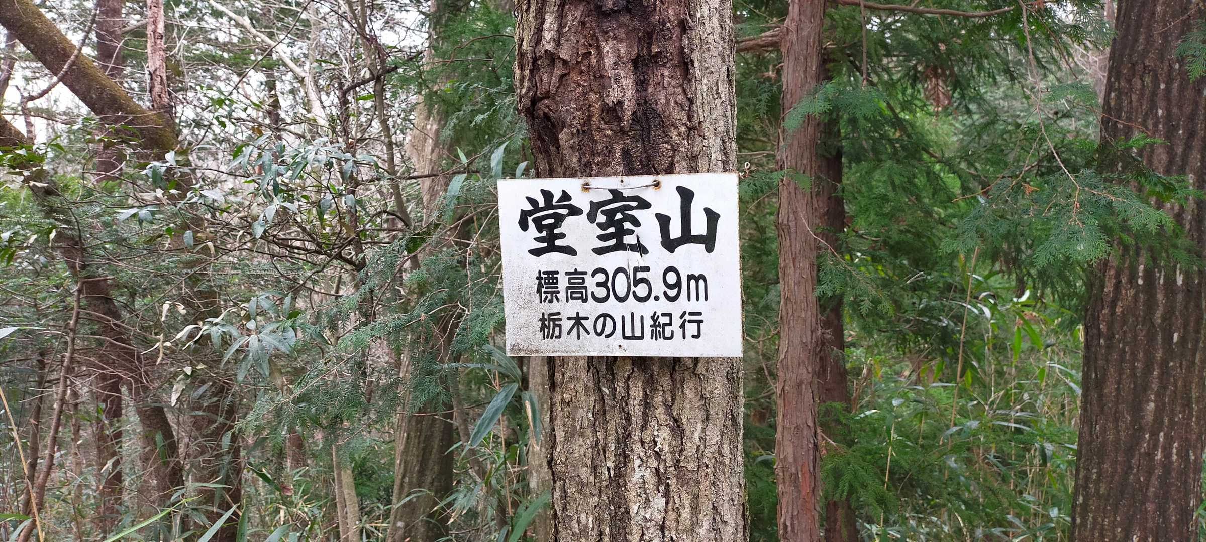 堂室山 山頂♪