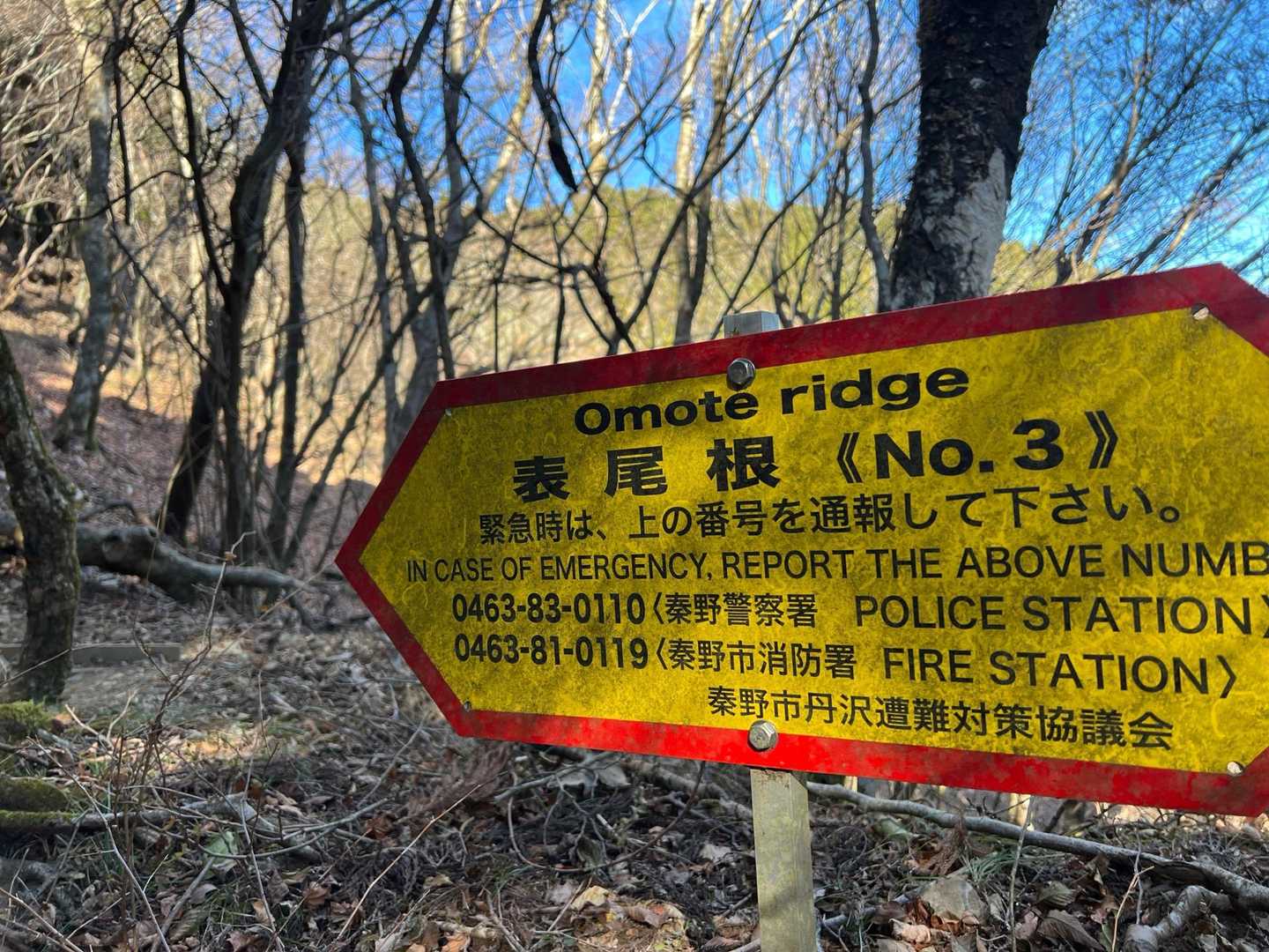 久しぶりの表丹〜