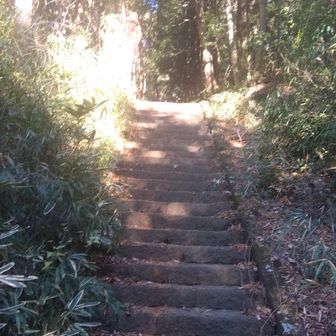 結構長く階段が続きました。
謙信平駐車場近くまで登ります⬆️