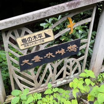 橋を渡ってちょっと登ると