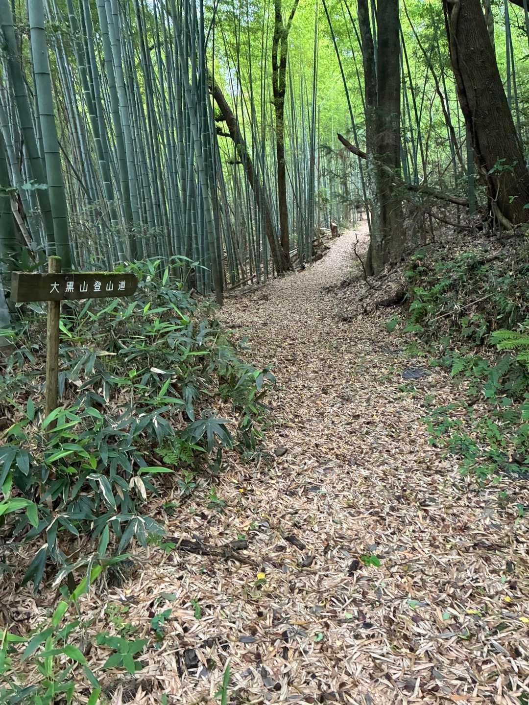 大黒山 往復コースの写真