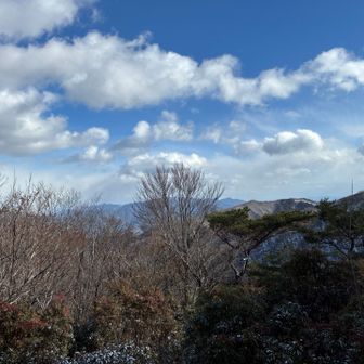 お日様が出てるとポカポカで暖かい