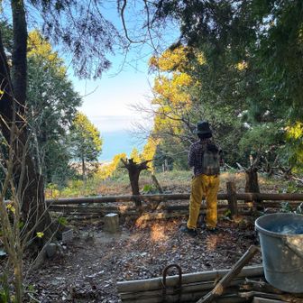 山頂　展望狭めが残念かも