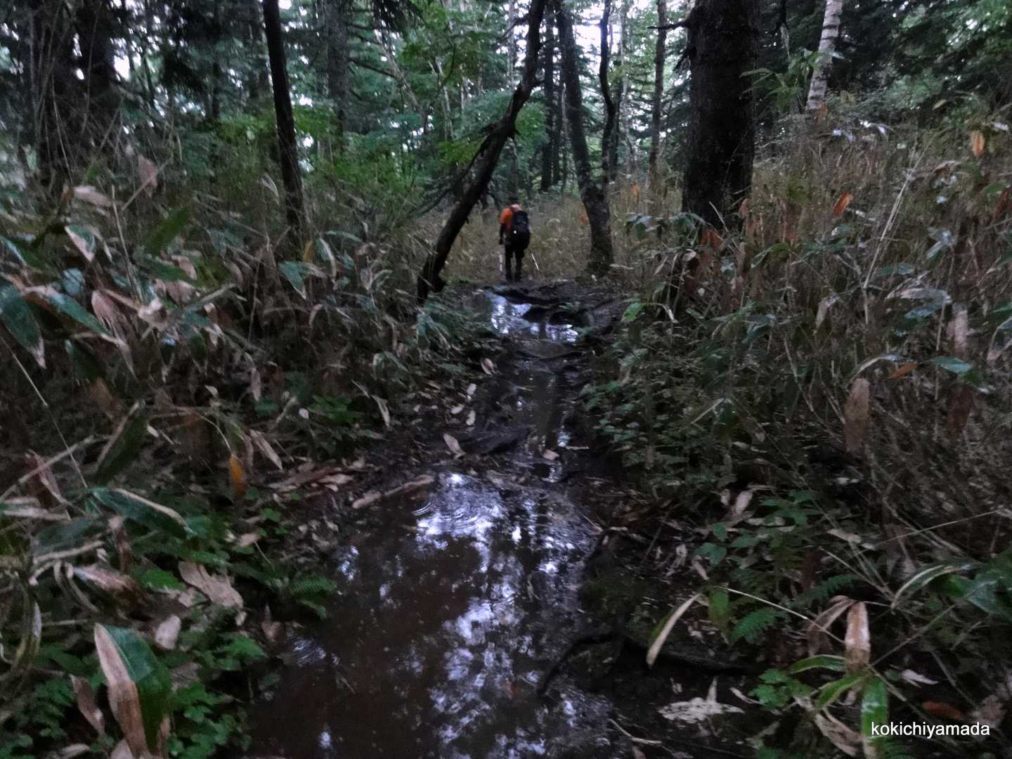 18:11　ゲリラ雷雨で登山道の水溜まりはこんな状態
