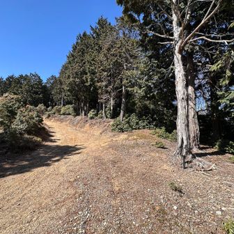 行きは迷ったけど、この辺の林道から右手に入って