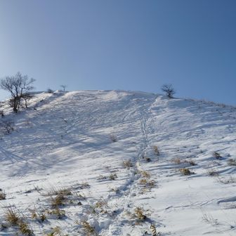 南の耳の登り返し
急な登りも新鮮です