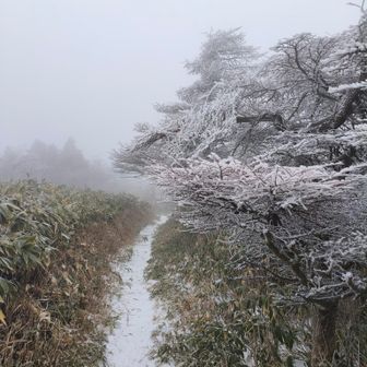 スノーモンスターも✗視界もガスガス😂