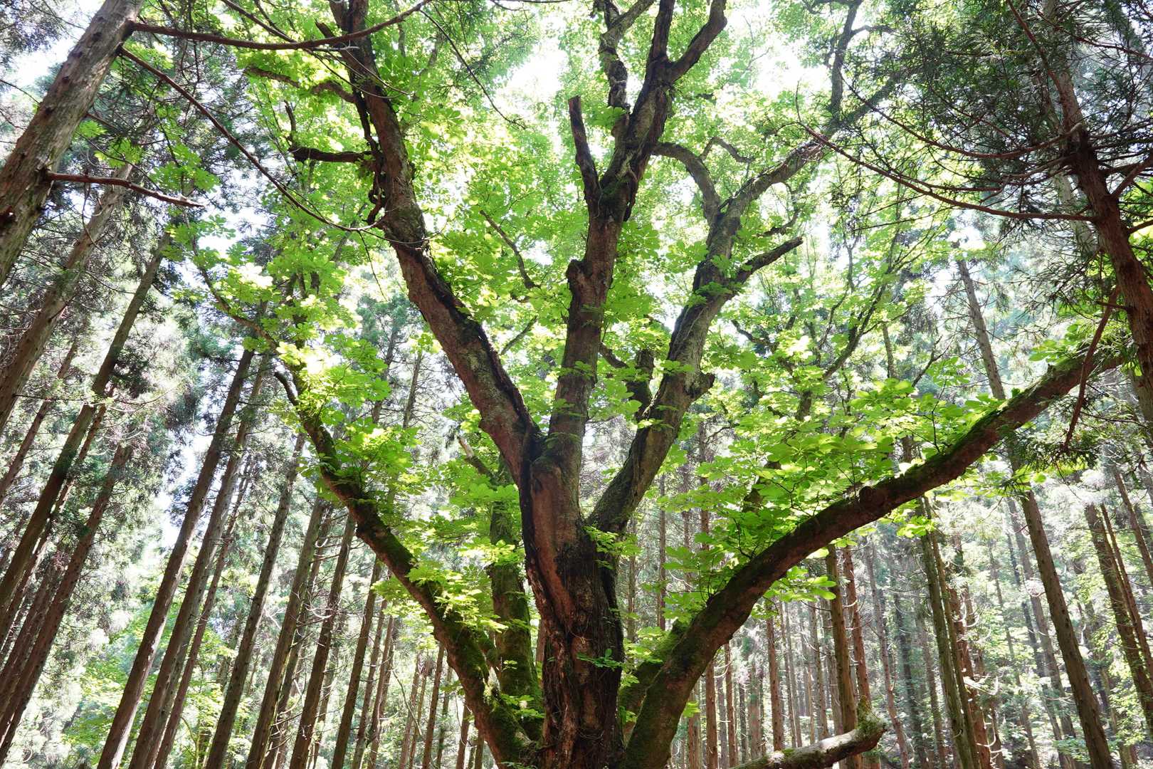 帰りにもご挨拶