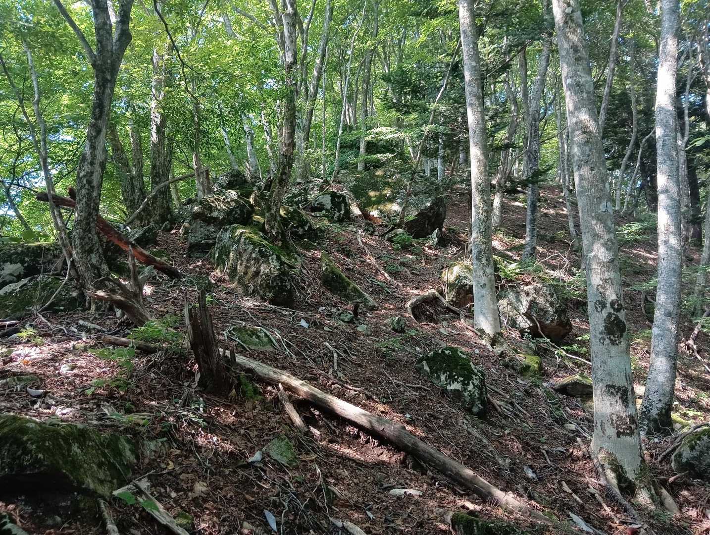 巨石ルートを😃🚶