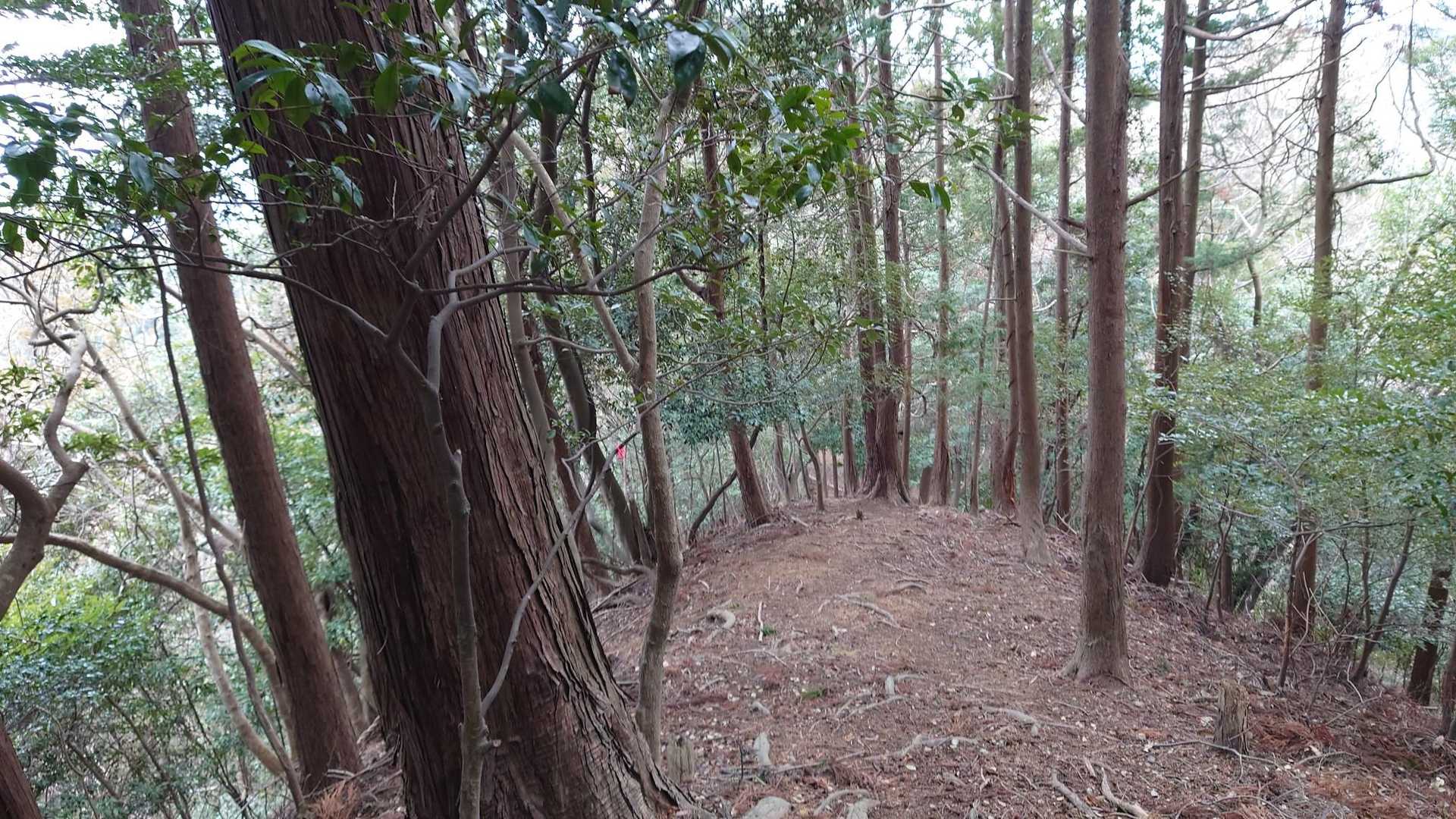 大目配登山口-大目配-薬王寺峠-京王山-鬼王山-妙見山 周回コースの写真