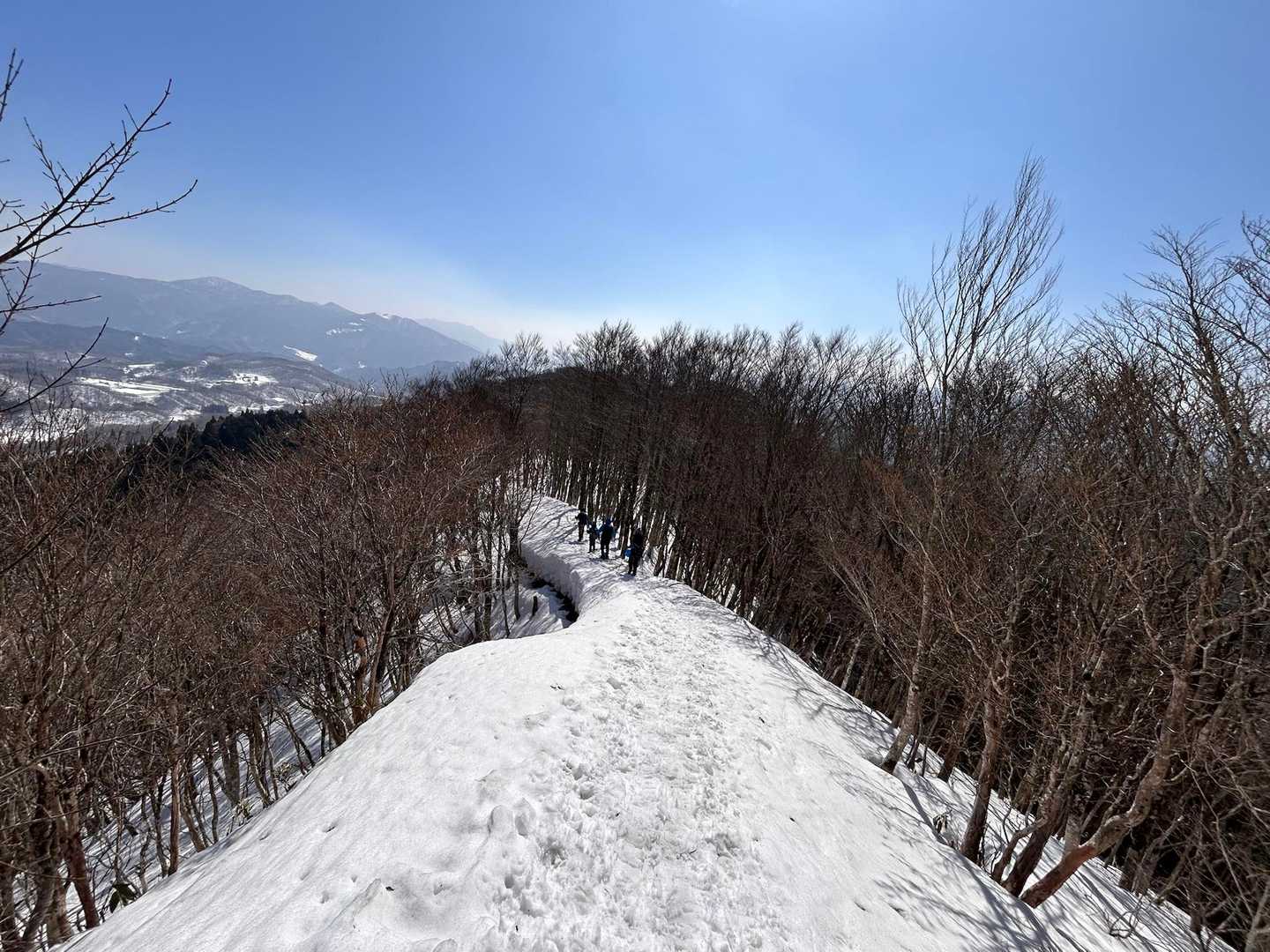 高清水トレイル登山口-大畝山-御林山 往復コースの写真
