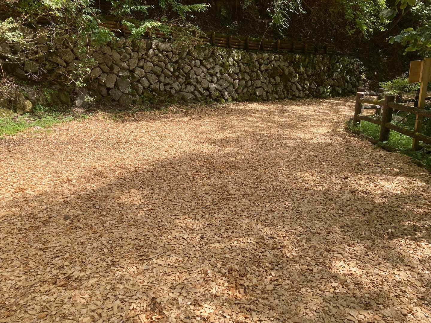 前半は木くずが敷詰められてる登山道で
歩きやすい